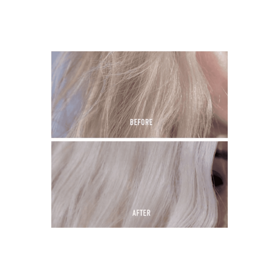 BLOND ABSOLU Cicaflash